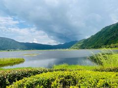 -腾冲北海湿地