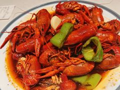 -杨氏青龙虾·羊蝎子(托乐嘉店)