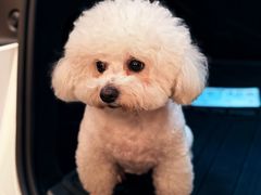 -董厨煨汤馆(车站路店)