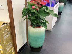 -名善山珍·野生菌汤锅(文殊院店)