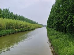 -黄海国家森林公园