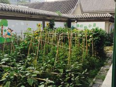 -北京第二实验小学