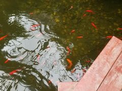 -晶宝温泉农庄
