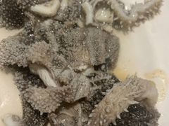 -清真吴记门钉肉饼·喜多利