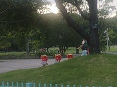 -牛岗山公园