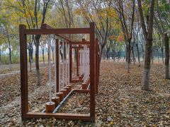 -大兴滨河森林公园