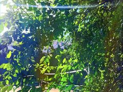 -鑫日千里马朝鲜族小馆(总店)