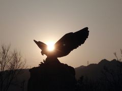 -北京鹫峰国家森林公园