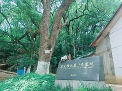 -马王堆汉墓遗址
