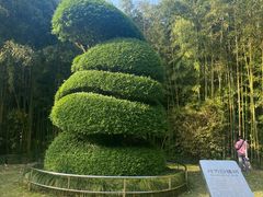 -苏州河梦清园环保主题公园