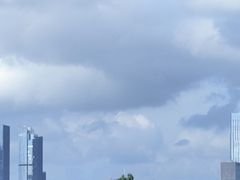 -福田红树林生态公园