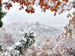 -北京西山国家森林公园