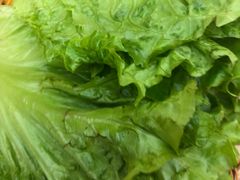 -妙香居韩国烤肉(容桂天佑城店)