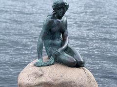 -美人鱼