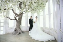-保定金沙芝柏婚礼策划