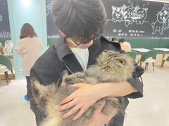 -安格丽娜·狗咖·猫咖羊驼咖(春熙路百盛商场店)