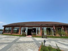 -上海都市菜园
