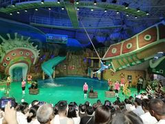 -烟台海昌鲸鲨海洋公园