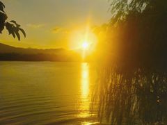 -西湖外事游船(花港观鱼码头)