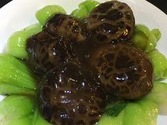 -糖朝(尖沙咀店)