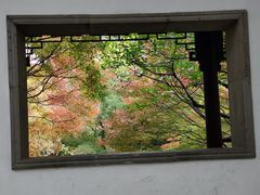 -秋霞圃