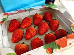 -黑池口感烘焙·生日蛋糕(坂田店)