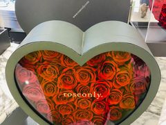 -ROSEONLY诺誓(沈阳万象城店)
