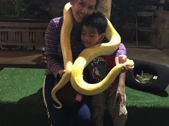 -清迈夜间动物园