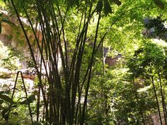 -赤水丹霞旅游区·佛光岩