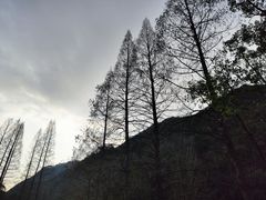 -宁海森林温泉