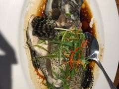 清蒸石斑鱼-泰华海鲜中餐厅(普吉镇店)