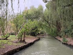 -同里国家湿地公园