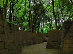 -上海方塔园