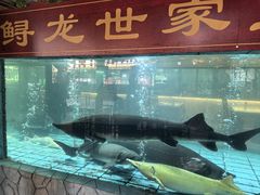 -年辉渔村·非遗传承餐厅(新丰江店)
