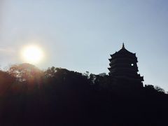 -廖排骨(洽塘中街店)