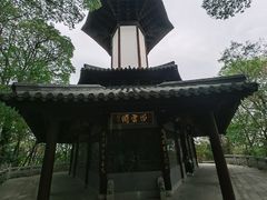 -上海佘山国家森林公园天马山园