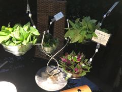-汤山翠谷生态餐厅