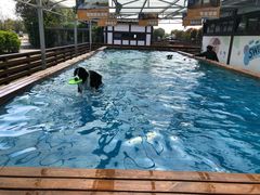 -太阳岛度假酒店