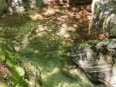 -牛背梁国家森林公园