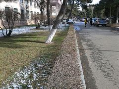 android_upload_pic-辽宁大学(崇山校区)