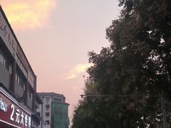 -一记洛阳菜·糖醋小排·水席(十字街店)