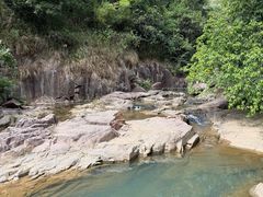 -广州白江湖森林公园