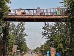 -呀路古热带植物园