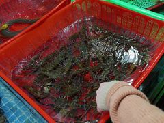 -都斛海鲜街