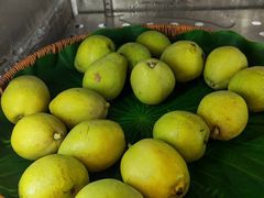 -姜胖胖无限自助烤肉(弹子石店)