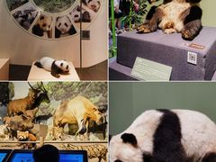 -深圳博物馆历史民俗馆