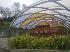 -怀托摩萤火虫洞