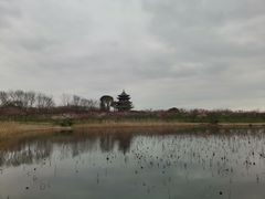 -上海海湾国家森林公园