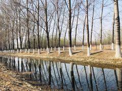 -东郊湿地公园
