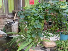 -吃货私房菜(丽江束河古镇店)